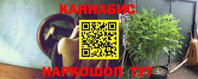 МДПВ Рыбинск