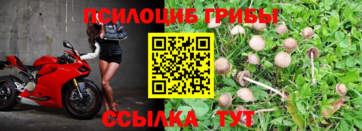 Галлюциногенные грибы Magic Shrooms Тамбов